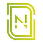 Nayar Systems Visión Logo